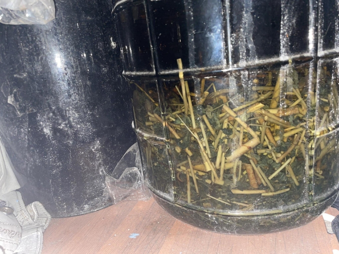 Nhiều người cho rằng rượu ngâm là bổ, uống là tốt cho sức khỏe nên lạm dụng. Ảnh: Ngọc Thi