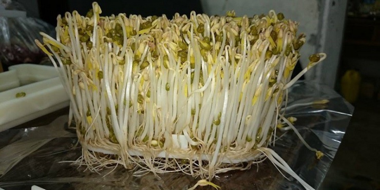 Loại rau rẻ bèo bổ xương lại tốt cho tim mạch, bán đầy chợ Việt nhưng rất dễ nhiễm hóa chất nếu không biết phân biệt 8 Loại rau rẻ bèo bổ xương lại tốt cho tim mạch, bán đầy chợ Việt nhưng rất dễ nhiễm hóa chất nếu không biết phân biệt - 7