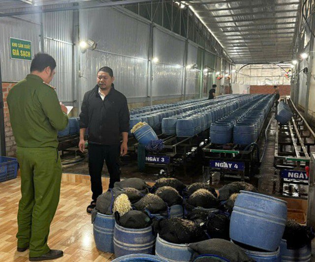 Loại rau rẻ bèo bổ xương lại tốt cho tim mạch, bán đầy chợ Việt nhưng rất dễ nhiễm hóa chất nếu không biết phân biệt 4 Loại rau rẻ bèo bổ xương lại tốt cho tim mạch, bán đầy chợ Việt nhưng rất dễ nhiễm hóa chất nếu không biết phân biệt - 3