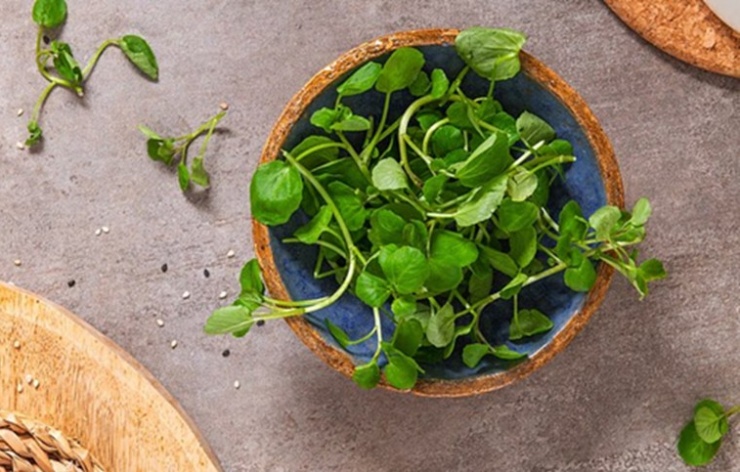 Loại rau tốt nhất thế giới, giàu chất chống oxy, giảm cholesterol xấu được chuyên gia dinh dưỡng công nhận 1 Loại rau "tốt nhất thế giới", giàu chất chống oxy, giảm cholesterol xấu được chuyên gia dinh dưỡng công nhận - 1