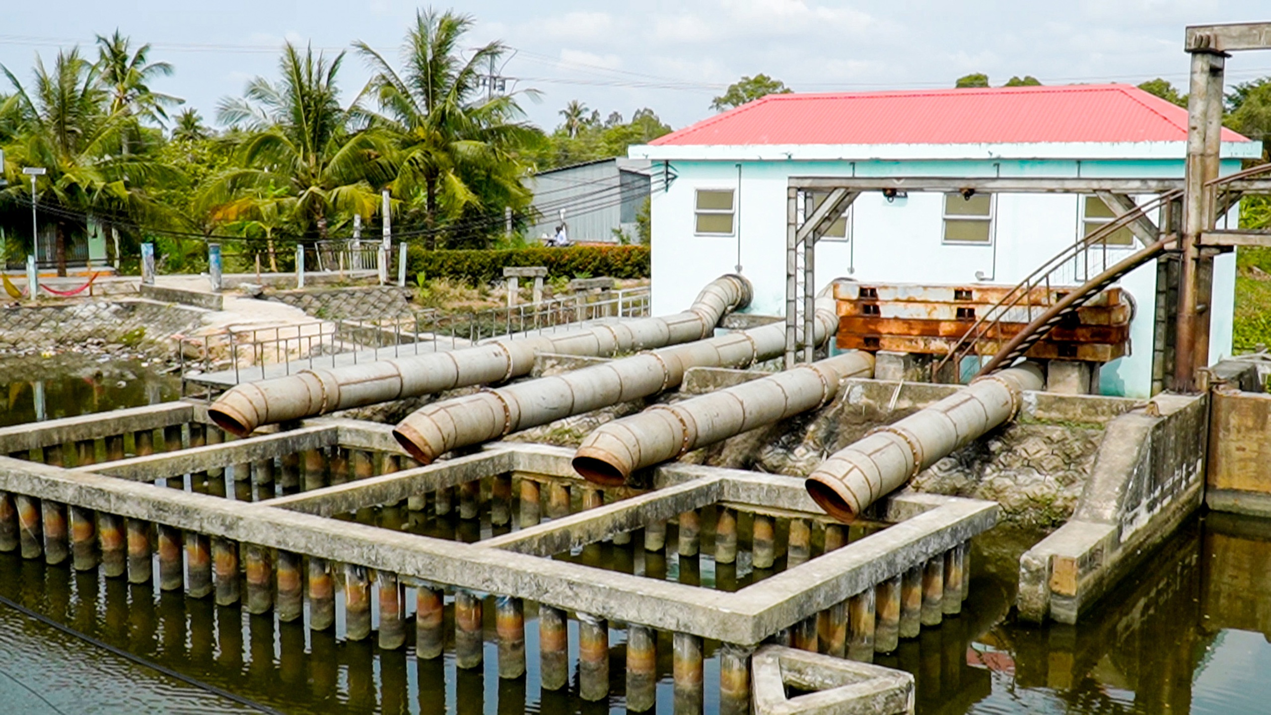Miền Tây sống chung với hạn mặn - Ảnh 1. mặn - Ảnh 1.