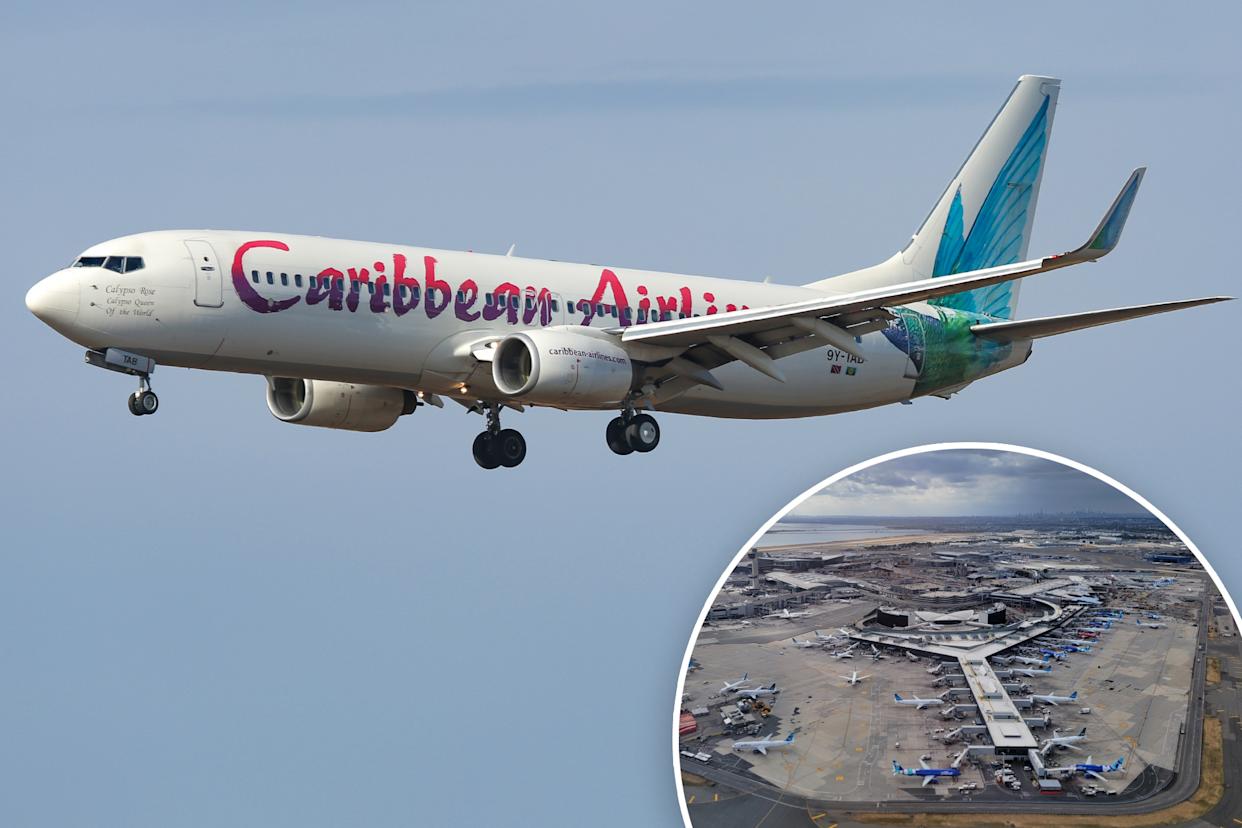 Một em bé vừa được sinh ra trên máy bay, không rõ mang quốc tịch gì 1 Mot em be vua duoc sinh ra tren may bay