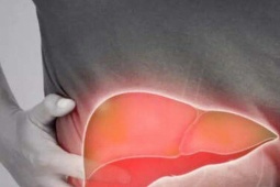 10 bài tập tốt nhất cải thiện gan nhiễm mỡ