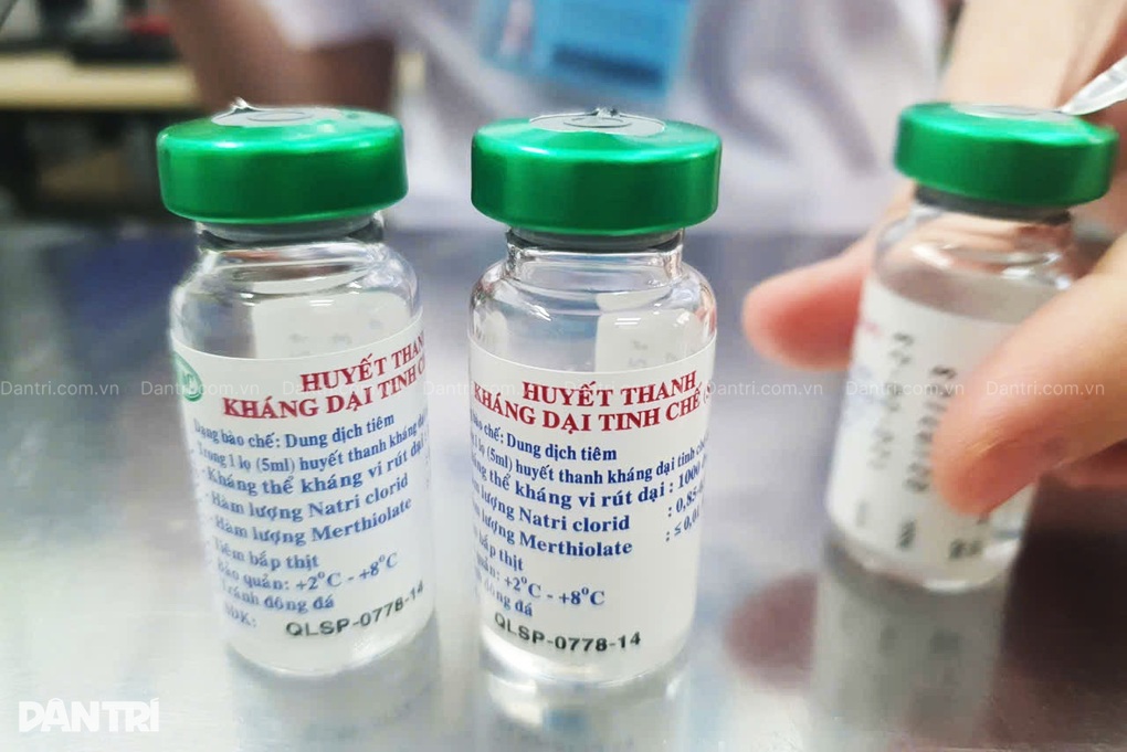 Nhiều người bị chuột cắn phải vào viện tiêm phòng dại - 1