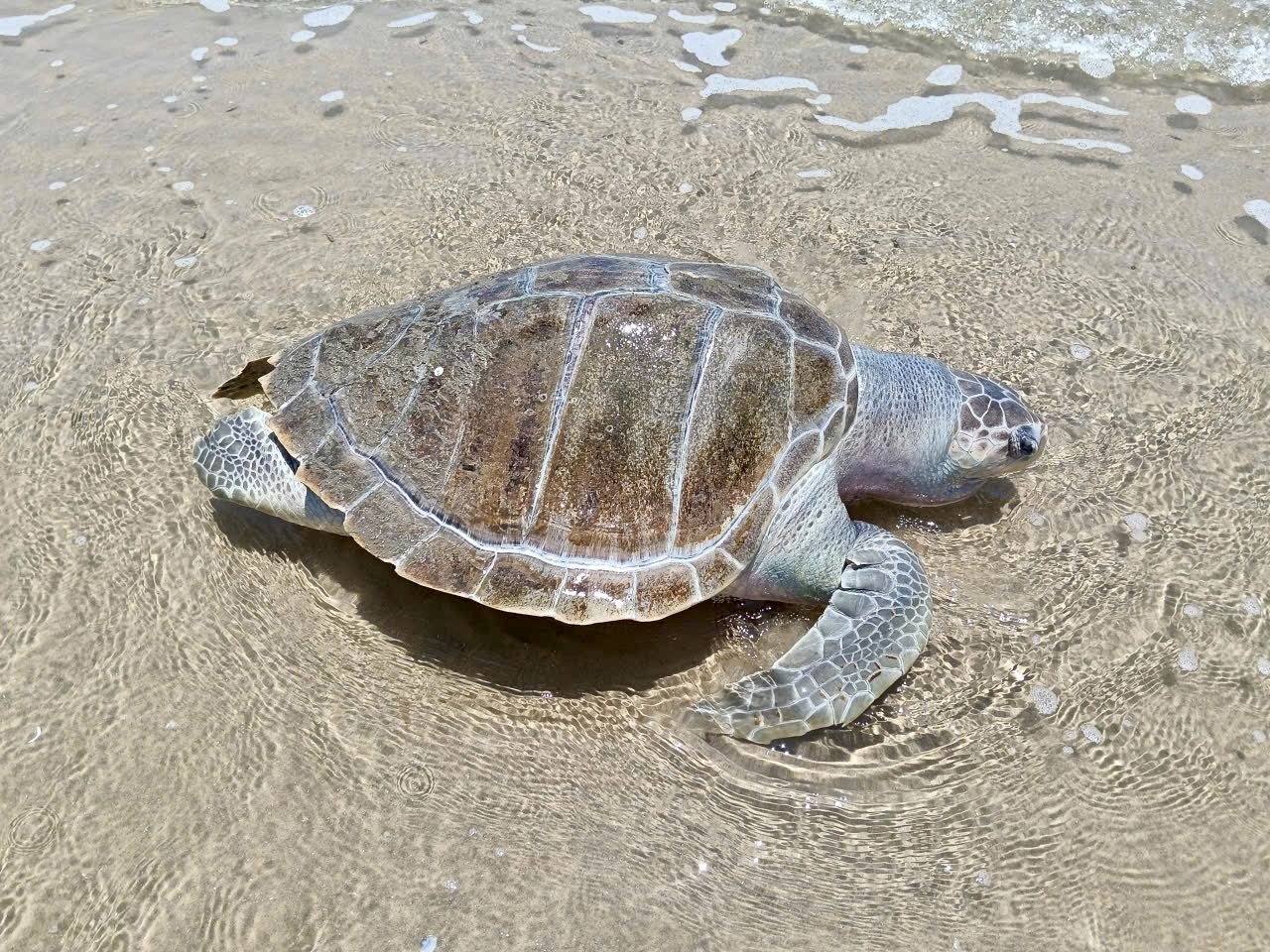 Thông tin nổi bật ở TPHCM ngày 9-4 - Ảnh 4.