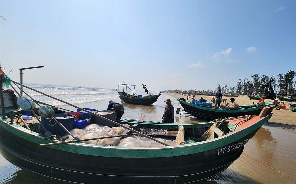 Mùa lộc biển tại đồng Tiến: Ngư dân thu hoạch vàng trắng từ biển cả - Ảnh 1. Mùa lộc biển tại đồng Tiến: Ngư dân thu hoạch vàng trắng từ biển cả - Ảnh 1.