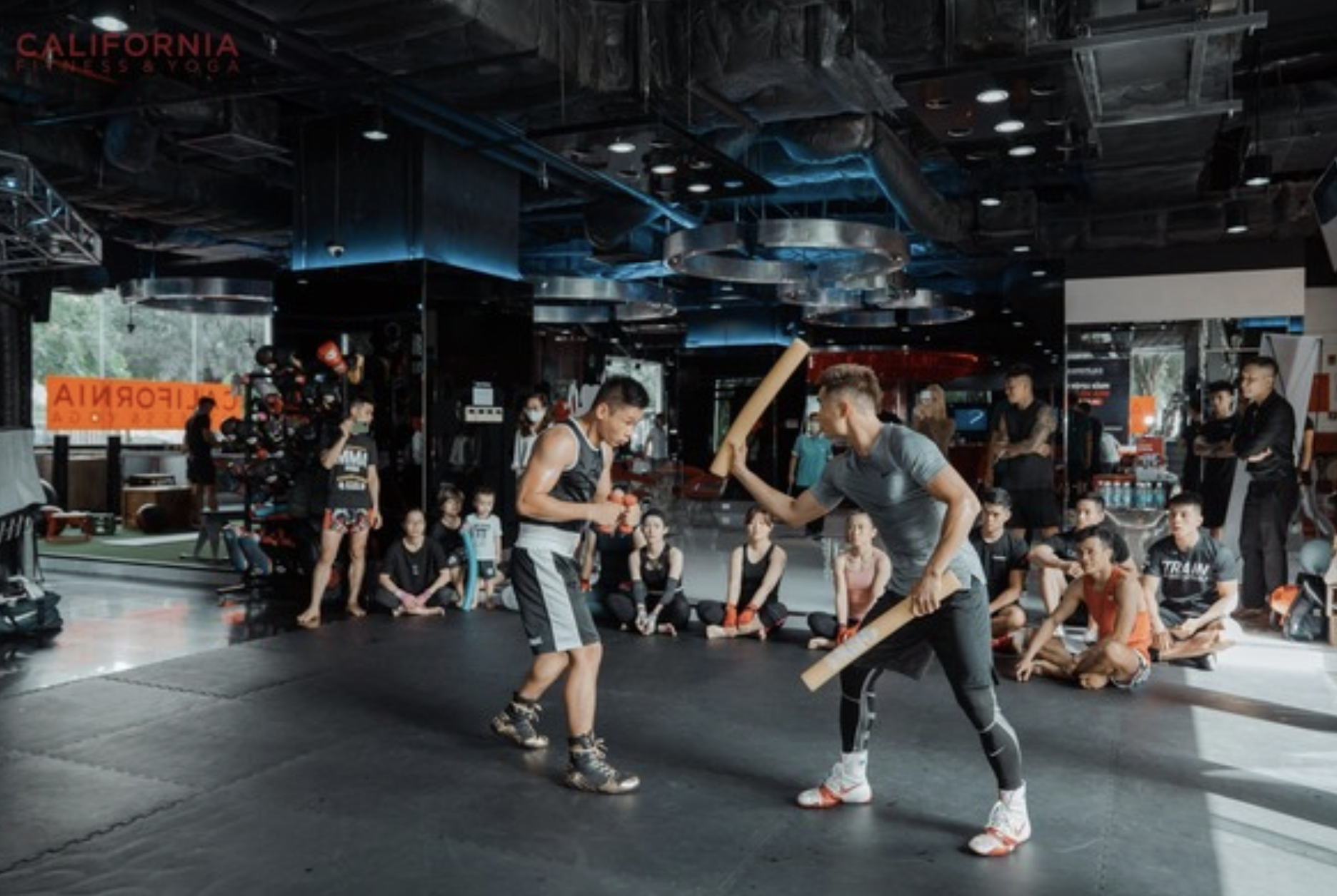 Ông lớn nào đang đứng đầu ngành gym Việt Nam sau khi Elite Fitness đóng cửa toàn bộ chi nhánh tại TP HCM?- Ảnh 1.