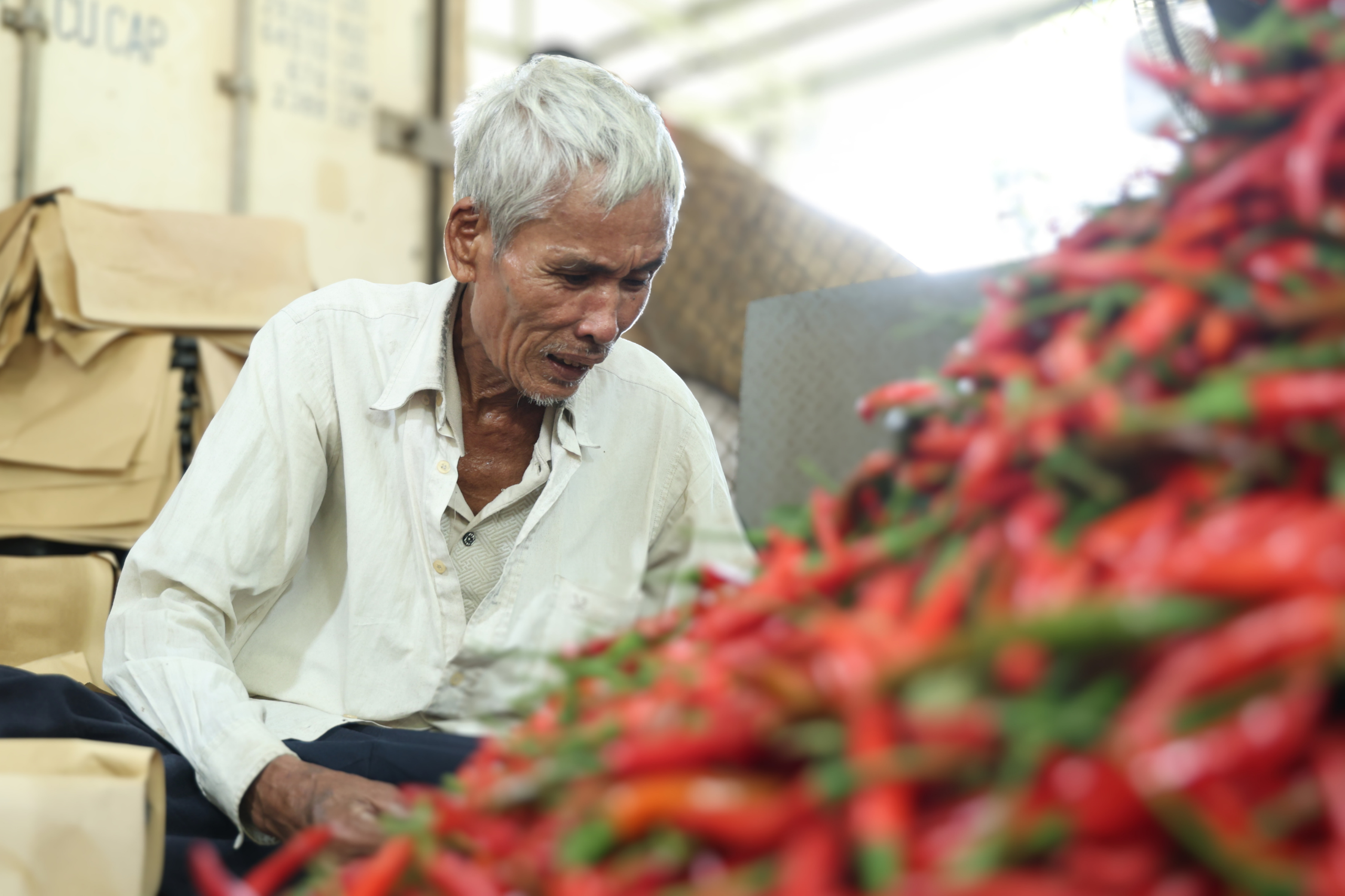 Ớt rớt giá còn 5.000 đồng/kg, nông dân Quảng Ngãi lao đao 1 Ớt rớt giá còn 5.000 đồng/kg, nông dân Quảng Ngãi lao đao - Ảnh 1.