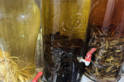 Độc tính chết người giấu trong những bình rượu tự ngâm