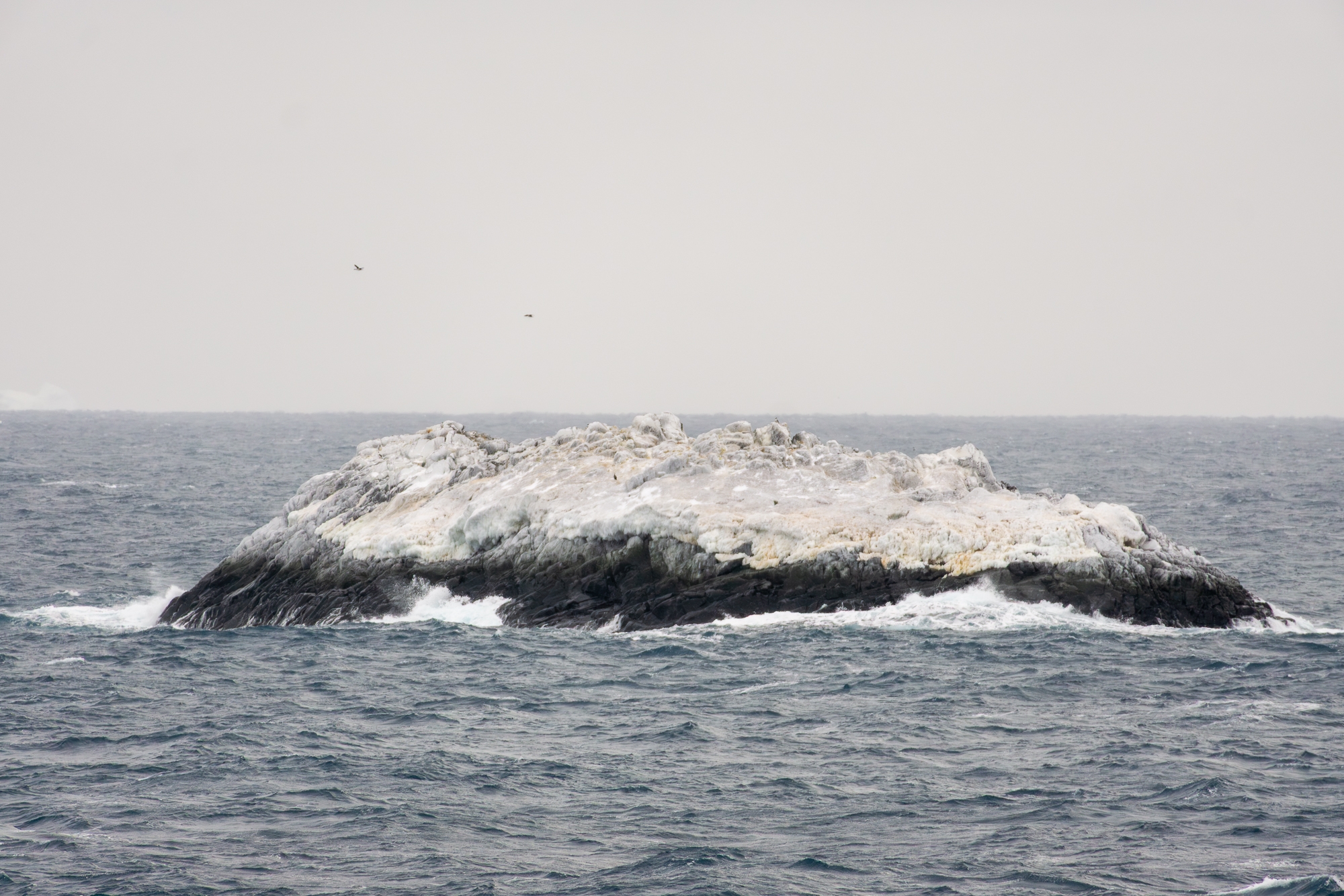 Phát hiện hòn đảo lạ tại Nam Cực - Ảnh 1.