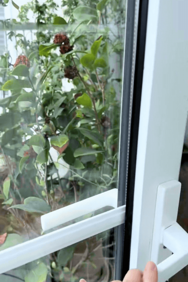 Phu ba sang ngam hoa chieu hai qua toi uong