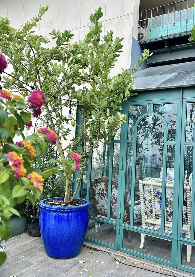 Phu ba sang ngam hoa chieu hai qua toi uong