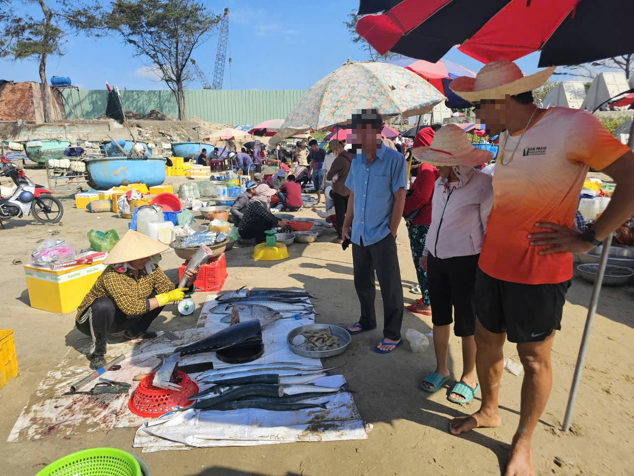 Chợ hải sản tự phát tại biển Long Cung gây ô nhiễm môi trường nghiêm trọng - Ảnh 2. Chợ hải sản tự phát tại biển Long Cung gây ô nhiễm môi trường nghiêm trọng - Ảnh 2.