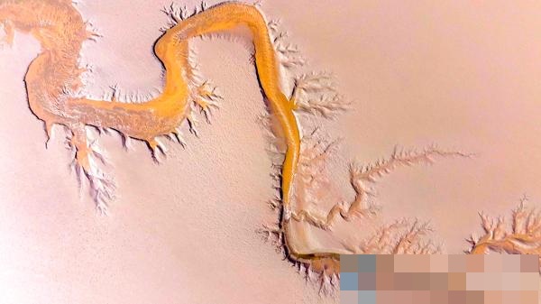 "Rồng" bất ngờ xuất hiện trên mặt sông dịp Thanh Minh, cảnh tượng từ trên cao khiến dân mạng xôn xao 1 Rong bat ngo xuat hien tren mat song dip Thanh