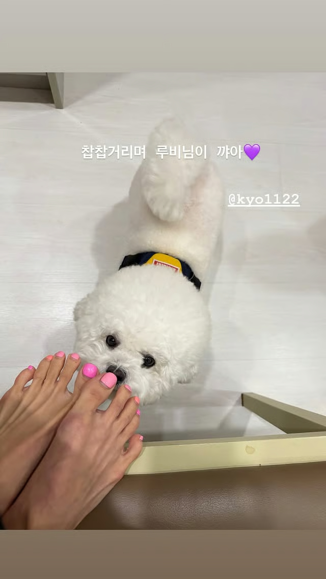 Song Hye Kyo lộ ảnh hẹn hò tại nhà riêng với nhân vật đặc biệt- Ảnh 1.