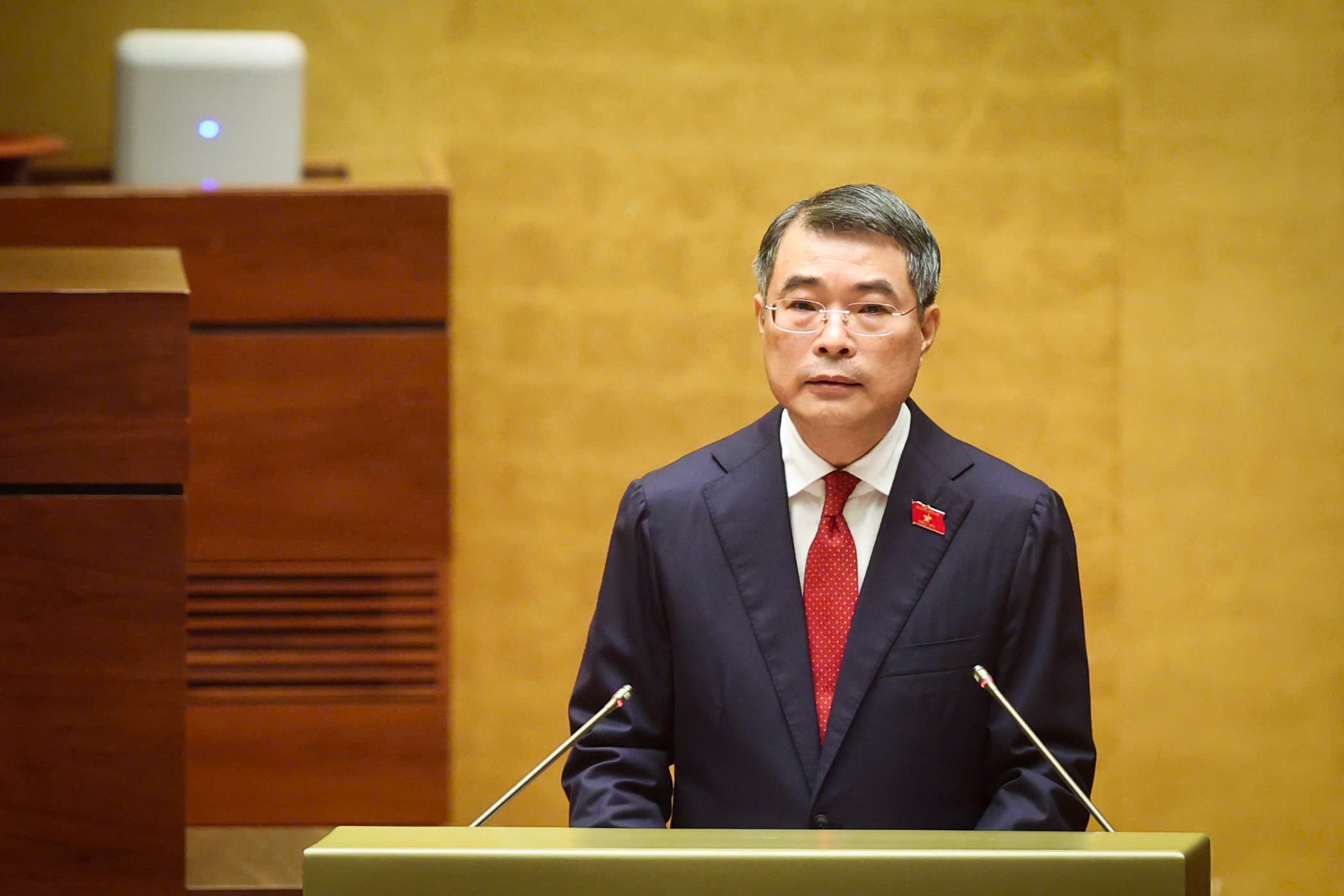 Chính phủ - Ảnh 1.