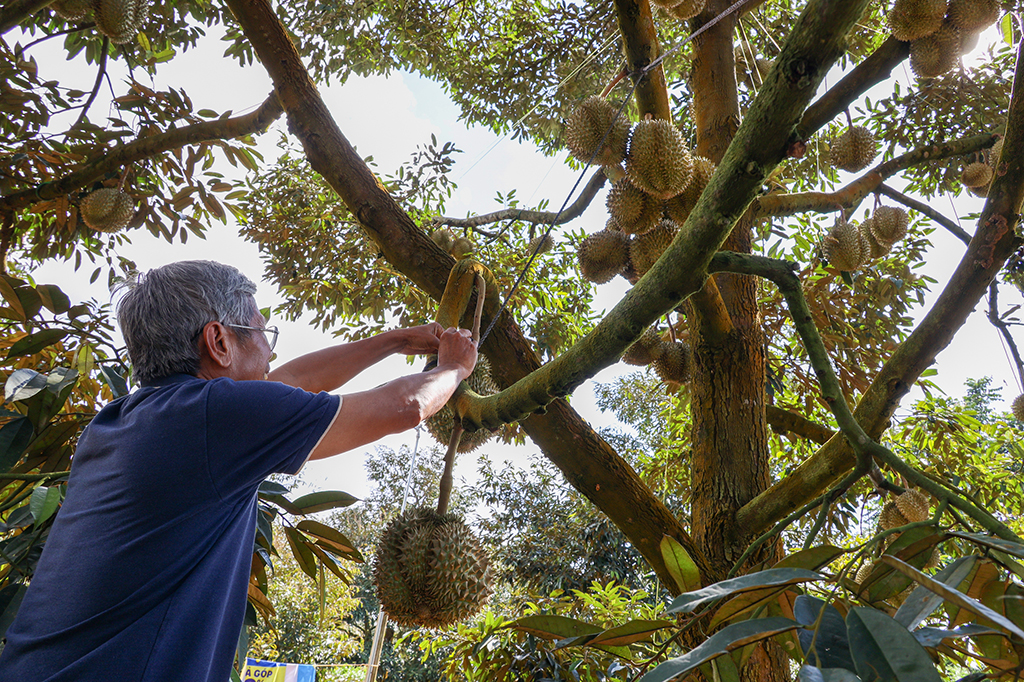 Trung Quốc, thị trường tiêu thụ lớn của Việt Nam- Ảnh 1.