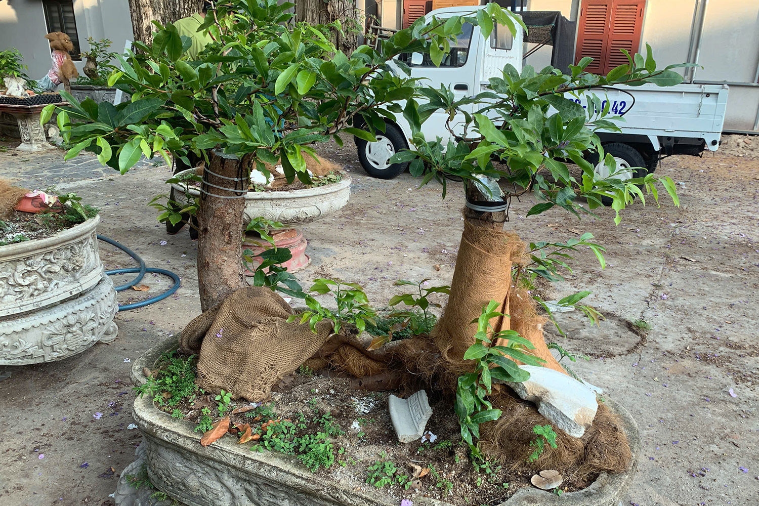 Côn Đảo - Ảnh 1.