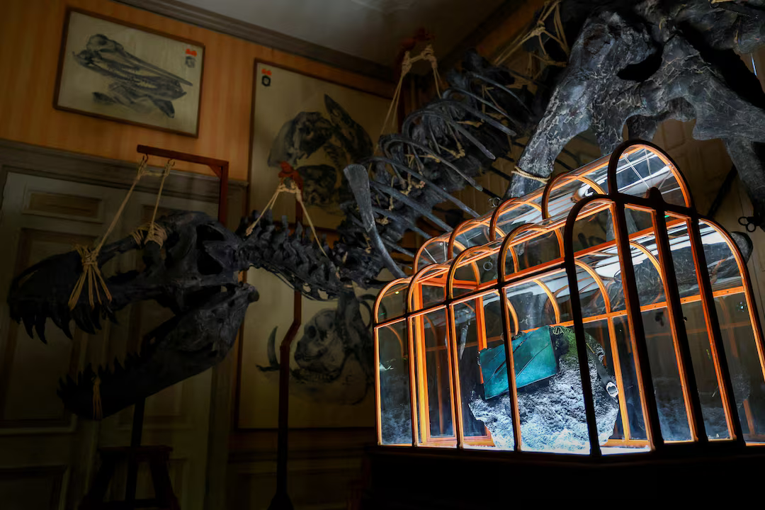 khủng long - Ảnh 2.