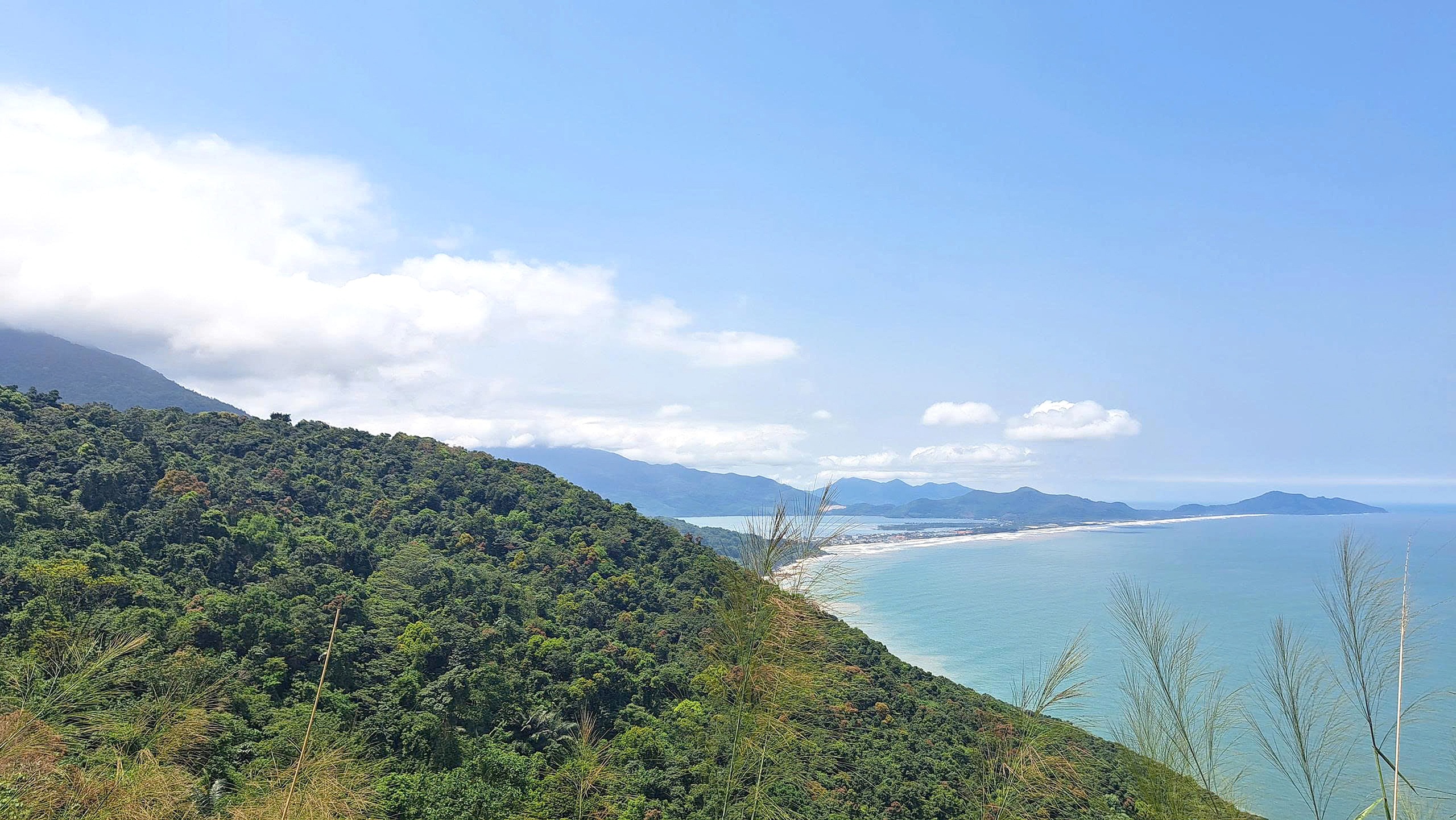 Xanh mát rừng Bắc Hải Vân 3 bắc hải vân - Ảnh 3.