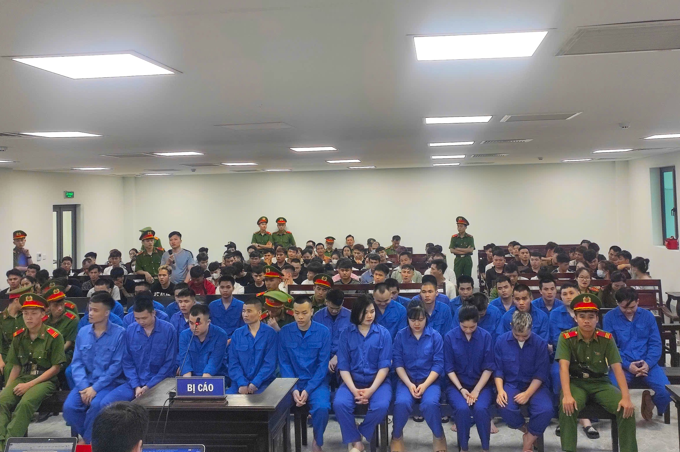 lừa đảo - Ảnh 1.