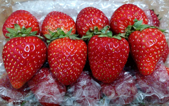 Dâu tây Sơn La được bán tại cửa hàng trái cây ở TP HCM. Ảnh: Thi Hà